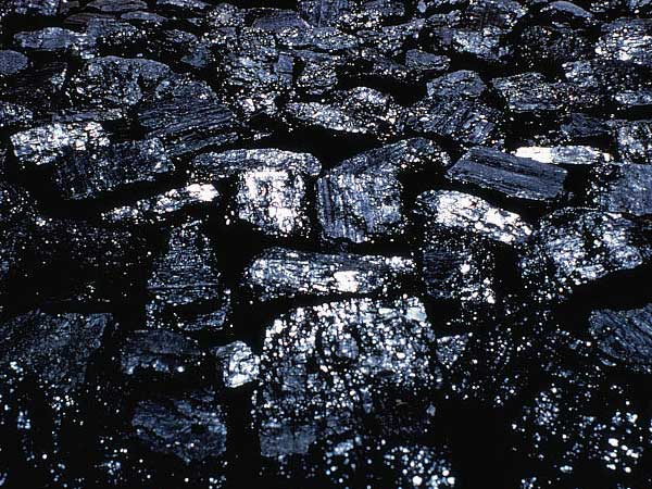 選煤廠煤泥 選煤廠煤泥